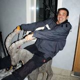 Andi from Wettingen | Man | 50 years old | Aries