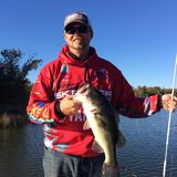 Leemore from Bella Vista | Man | 50 years old | Taurus