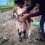 Adeebum45Z from Trichur | Man | 24 years old | Scorpio