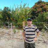 Felixlourencsv from Sao Lourenco da Mata | Man | 54 years old | Capricorn