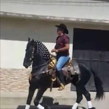 Telefonoazju from Guatemala City | Man | 39 years old | Taurus
