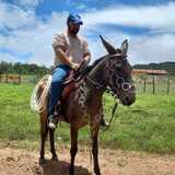 Charlysolivee2 from Pirenopolis | Man | 38 years old | Capricorn
