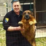 Hamzavelidv5 from Mostar | Man | 59 years old | Aries