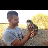 Pinchas from Tel Aviv | Man | 31 years old | Cancer