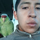 Metra from Atlixco | Man | 31 years old | Sagittarius