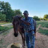Dparrac1X from Surprise | Man | 73 years old | Taurus