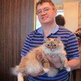 Viktor from Perm' | Man | 64 years old | Sagittarius