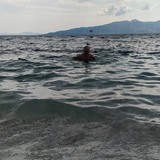 Flowersionee4 from Sarande | Man | 47 years old | Scorpio
