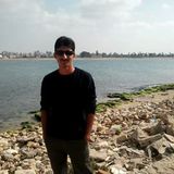 Captain from Aqaba | Man | 37 years old | Scorpio