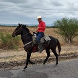 Bazalduavictda from Ciudad Victoria | Man | 25 years old | Pisces