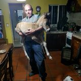 Carlos from Mina Clavero | Man | 50 years old | Taurus