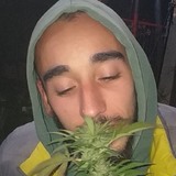 Drug5G from Gradacac | Man | 30 years old | Capricorn